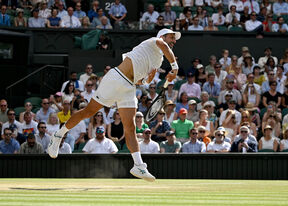 Novak Đoković - Janik Siner 1.jpg