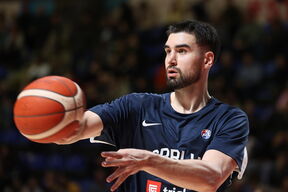 Dušan Ristić