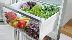 Bosch_Cooling_Fridge-Freezers_Vitafresh_1200x676 copy.jpg
