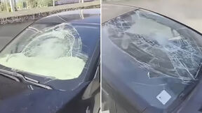 Demolirani automobili u Novom Sadu