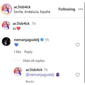 Veljko Ražnatović Nemanja Gudelj objava komentar.jpg