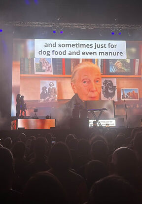 moby koncert3.jpg