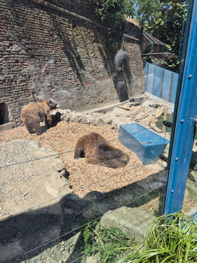 medvedice zoo vrt 4.jpg