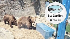 medvedice zoo vrt .jpg