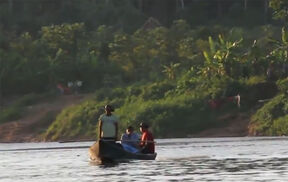 Tsimane