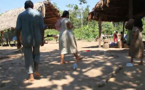 Tsimane
