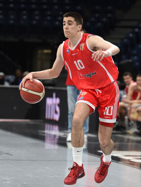 Andrej Bjelić 4.jpg