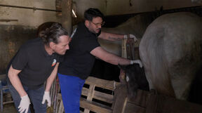 Nenad Heraković u ulozi veterinara (3).jpg