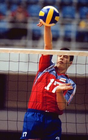 Edin Škorić udara loptu na mreži