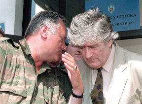 Radovan Karadžić (9).jpg