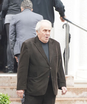 Goran Sultanović (10).jpg