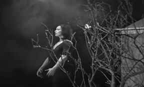 Plan 9 from Outer Space (1).jpg
