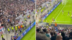 Haos na meču Lion Fenerbahče