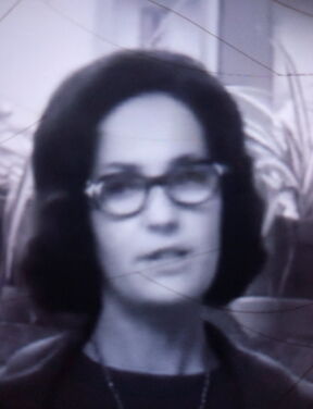 Sibina Mijatović