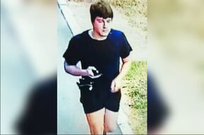 Ubistvo u Surčinu, Novica Elek, N.K.