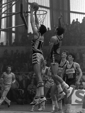 Zdravko Radulović (3).jpg
