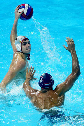 danilo stupar (2).jpg