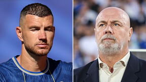 Sergej Barbarez Edin Dzeko