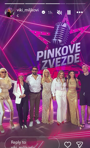 Viki Miljković Pinkove zvezde (3).jpg