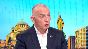 Nenad Vujić.jpg