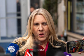 Željka Cvijanović (3).jpg