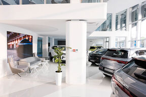 BYD_Novi_Sad_2 copy.jpg