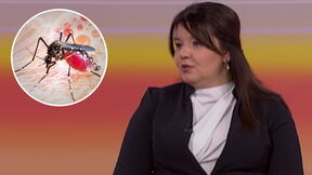 dr Dragana Plavša i komarac