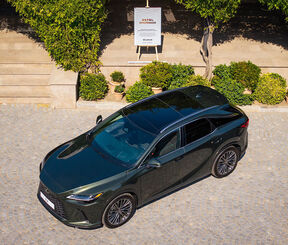 Lexus (2).jpg