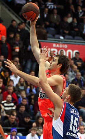 Tomislav Zubčić (5).jpg