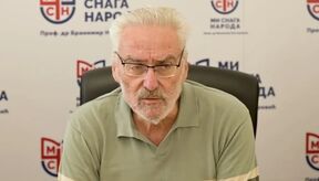 Branimir Nestorović.jpg