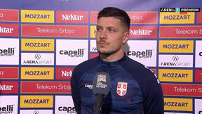 Luka Jović.jpg