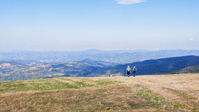 Rajac planina.jpg