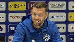 Edin Džeko (1).jpg