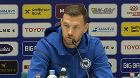 Edin Džeko (1).jpg