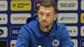 Edin Džeko (1).jpg