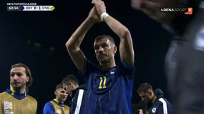 Edin Džeko