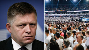 Robert Fico, Ujedinjena Srbija, Skup liste Aleksandar Vučić Ujedinjena Srbija