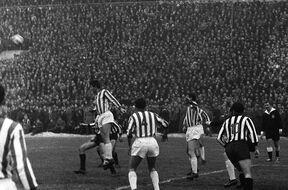 Partizan (1).jpg