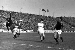 Partizan (7).jpg