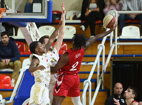 Crvena zvezda - FMP (1).jpg