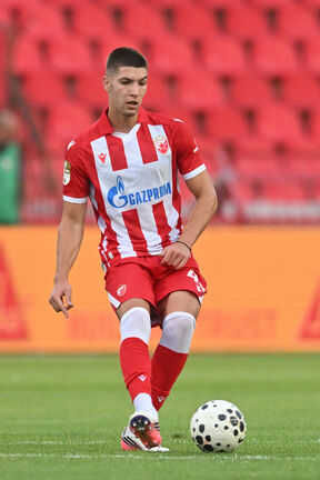 Stefan Gudelj