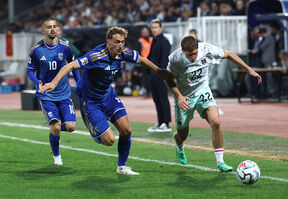 Kosovo - Austrija (2).jpg