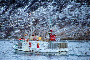 Sommarøy (2).jpg