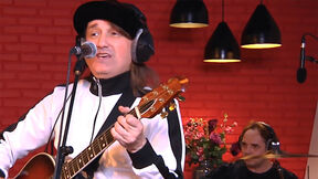 Plavi orkestar
