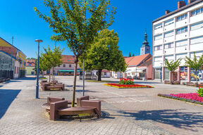 Grad u Hrvatskoj Ludbreg nosi titulu centra sveta (1).jpg