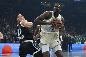 Partizan - Panatinaikos (1).jpg