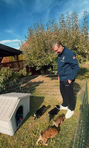 Vučić udomio napuštene pse (1).jpg
