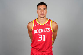 Bogdan Bogdanović (2).jpg