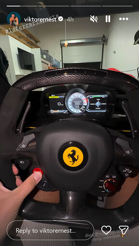 Viktor Živojinović auto (1).jpg
