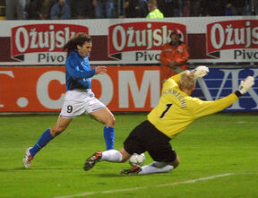 Veldin Karić (1).jpg